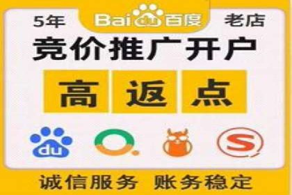 某行业sem百度竞价全解析